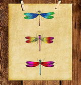 Decoraciones de habitaciones únicas