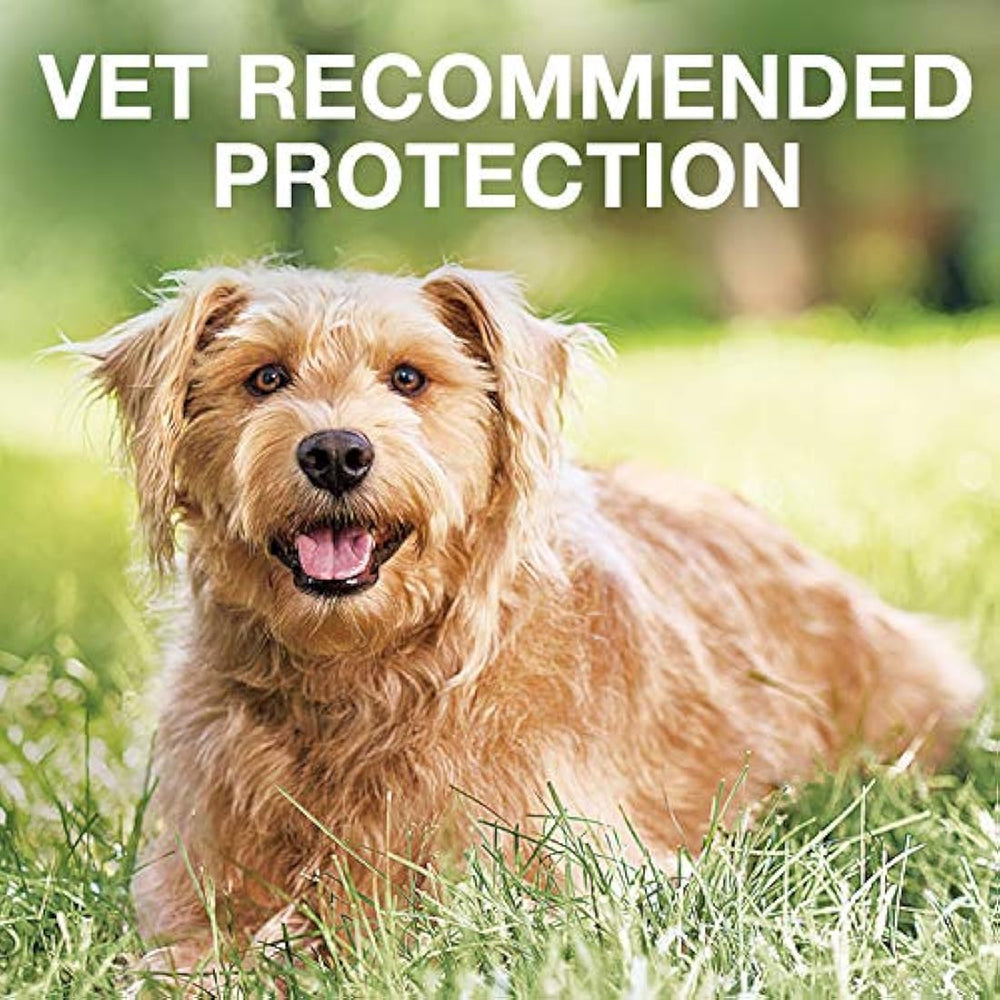 tratamiento de pulgas y garrapatas para perros