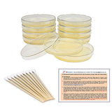 Kit de ciencias de bacterias EZ Bioresearch (IV):