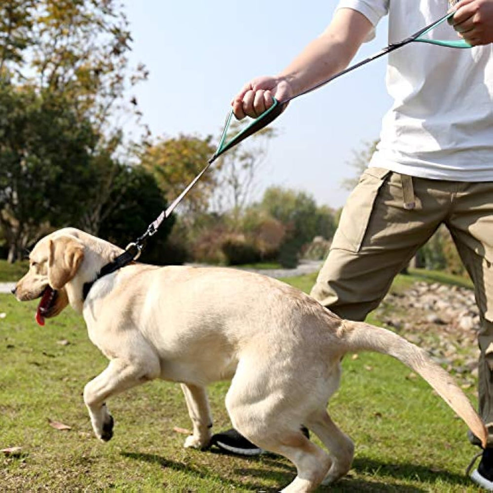 Vivaglory Correa para perro con dos asas acolchadas