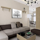 Lienzo decorativo para pared con diseño de bosque
