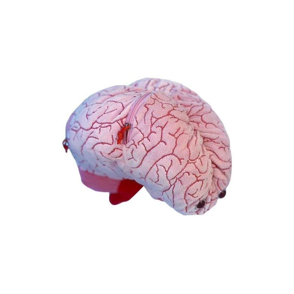 Peluches de cerebro con neuronas de felpa