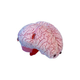 Peluches de cerebro con neuronas de felpa