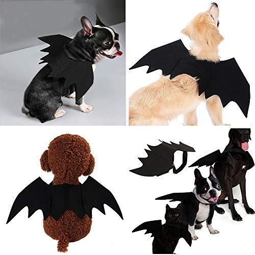 Malier Disfraz de Halloween para gatos, perros, mascotas, alas de murciélago