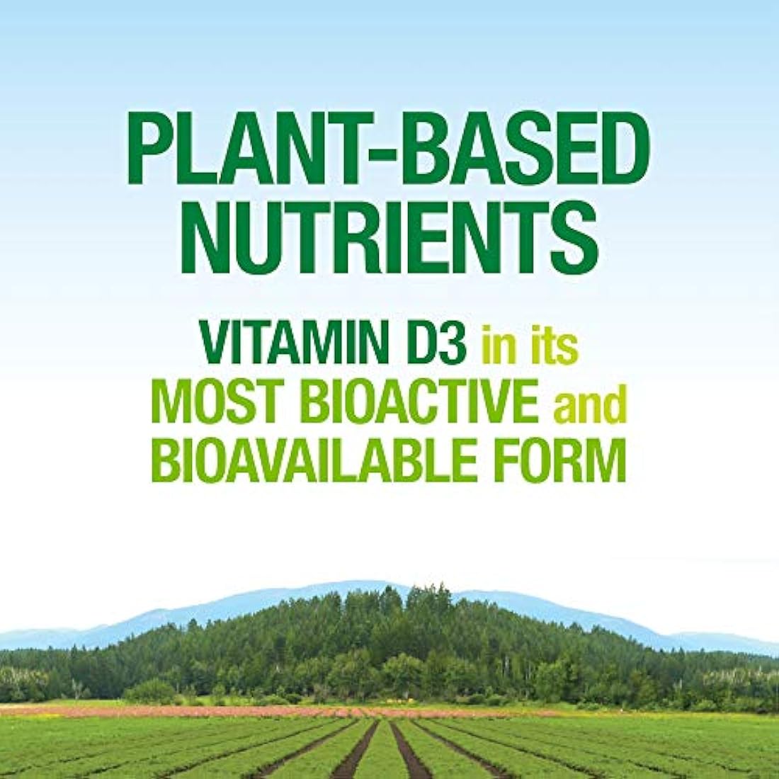 vitamina D3 5000 UI, suplemento alimenticio completo, vegano