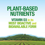 vitamina D3 5000 UI, suplemento alimenticio completo, vegano