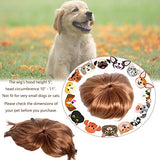 Peluca de perro para mascotas, disfraz de gato, accesorios sintéticos, gorros para perros pequeños, para Halloween, Nochebuena, festival, decoración de fiesta, juguete (A)