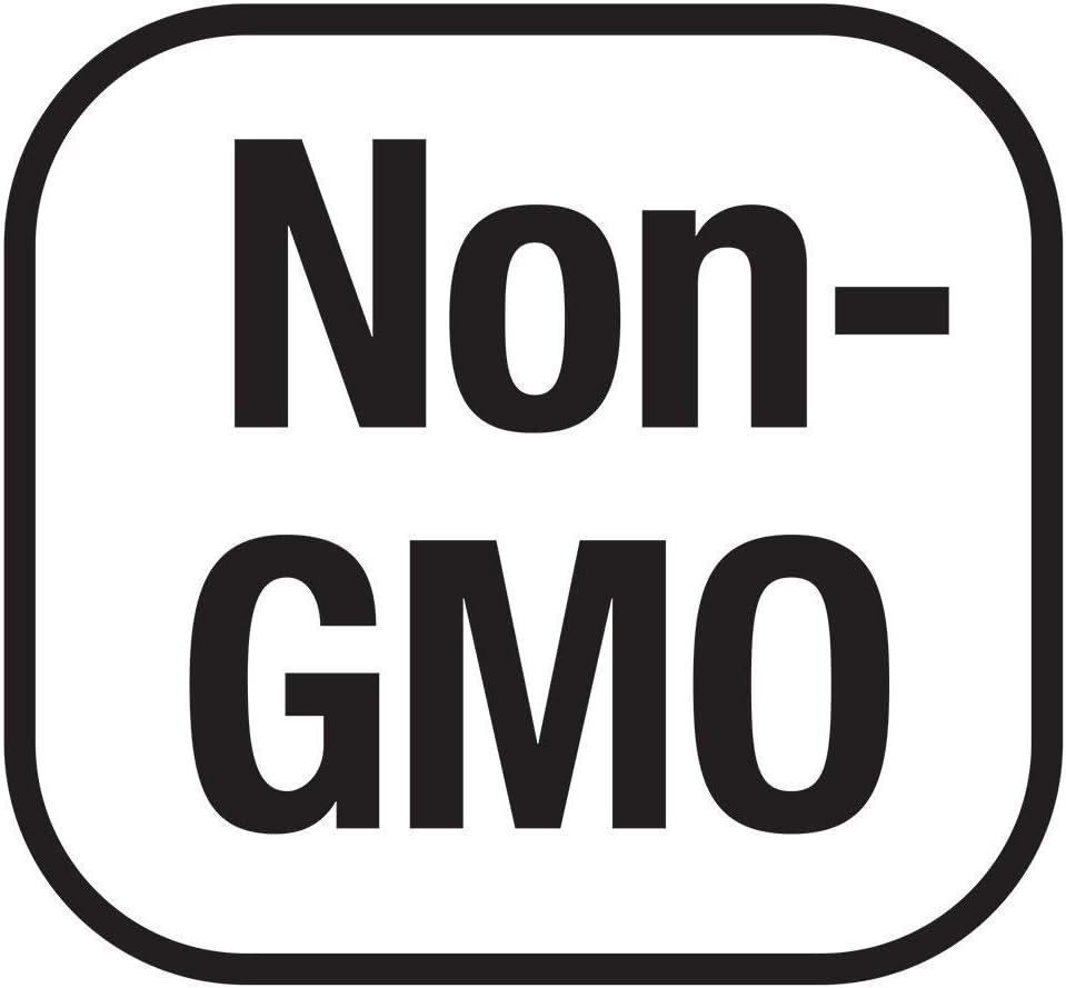L-Glutamina 500mg Veg Caps (2x300) No GMO Vegan