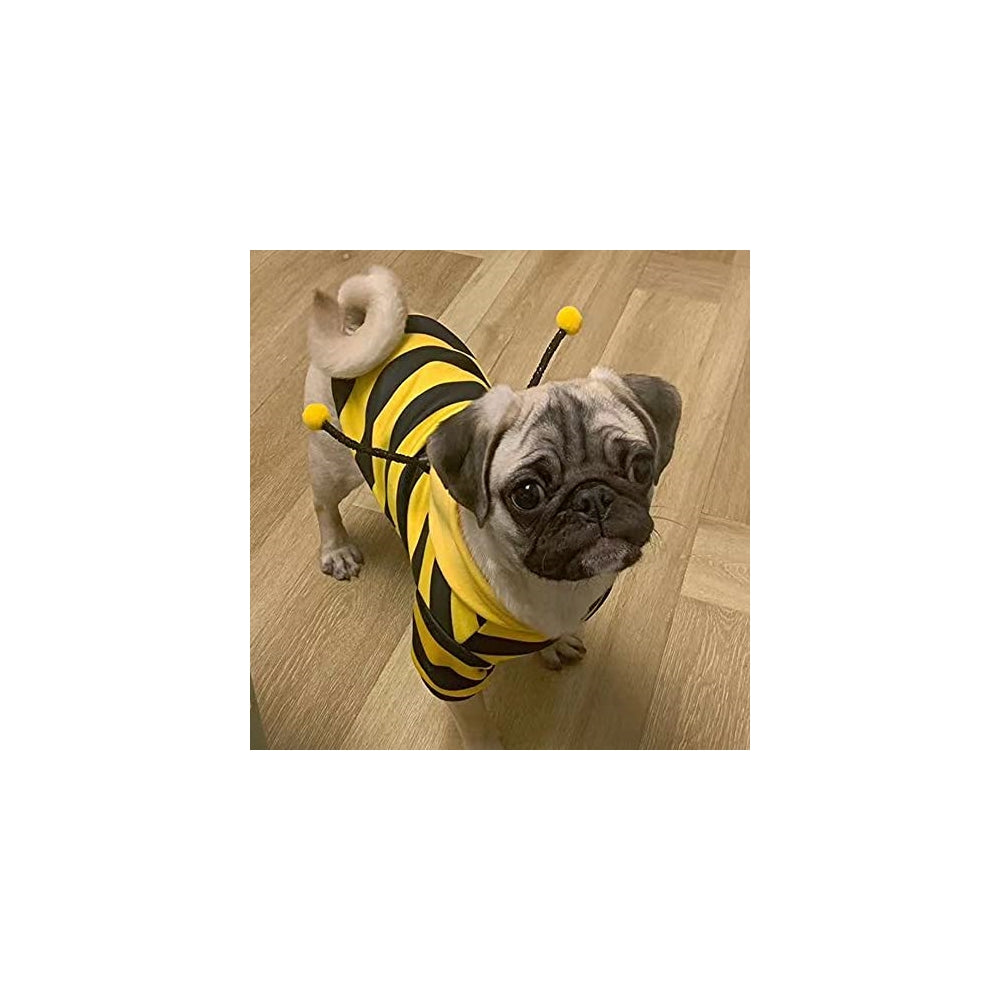 Disfraces de abeja para mascotas talla XS