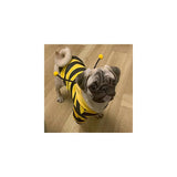 Disfraces de abeja para mascotas talla XS