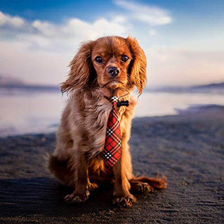 Segarty Corbatas de cuello para perro, 30 corbatas para perro, corbatas ajustables para perros medianos y grandes, corbatas para mascotas, accesorios de aseo para niñas, niños, perros, día festivo, cumpleaños, disfraces de boda