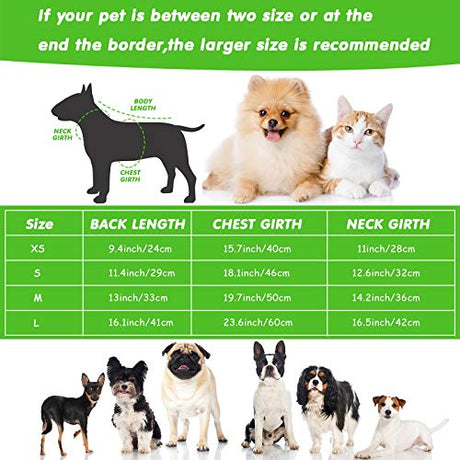 Chubasquero transparente para perros y mascotas, impermeable, para mascotas, 2 piezas, chaqueta de lluvia de plástico para cachorros, poncho de lluvia para mascotas, ropa impermeable para perros pequeños y medianos (azul y verde, S)