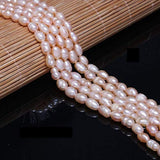 Herramientas para joyas Perlas naturales ovaladas naturales