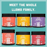 Llama Naturals Bites vitamínicos a base de plantas (adultos); orgánico; sin azúcar añadido, edulcorantes o sintéticos; gominola multivitamínica vegana (D3, B12, folato y más; 90 mordeduras de fruta real (30 días), 1
