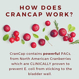 CranCap Suplemento de arándano para la salud del tracto urinario | 36 mg PAC | Potente prevención de infecciones del tracto urinario