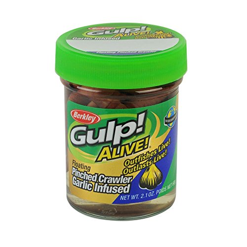 Cebo para pesca