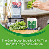 Superfood en polvo ingredientes orgánicos Nested Naturals