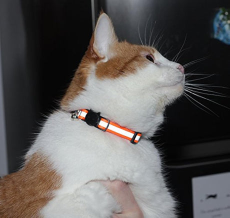 Collar para gato con campana y cinta reflectora, de 3 o 6