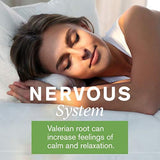 Valeriana Root (100)