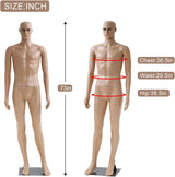 Maniquí Torso Masculino Ajustable con Base Metálica 73