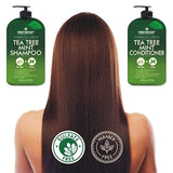 Champú y acondicionador de menta de árbol de té