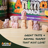 Natures Plus - 90 Masticables Animal Parade MagKidz – Libre de azúcar, 1, 90