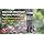 Perky-Pet 334-1SR Squirrel-Be-Gone Max Alimentador de pájaros con Flexports - 4 Lb