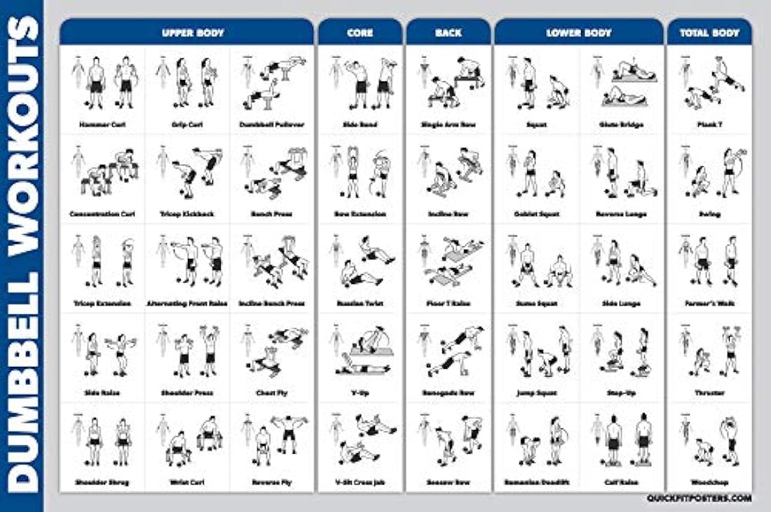 Póster de entrenamiento de mancuernas de Palace Learning