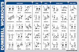 Póster de entrenamiento de mancuernas de Palace Learning
