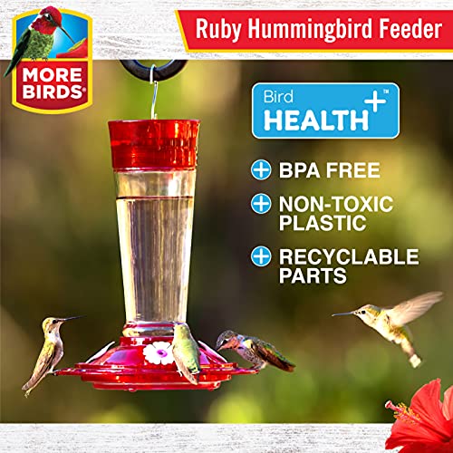 More Birds - Comedero de colibrí con diseño de rubí, Rubí, Rojo Rubí