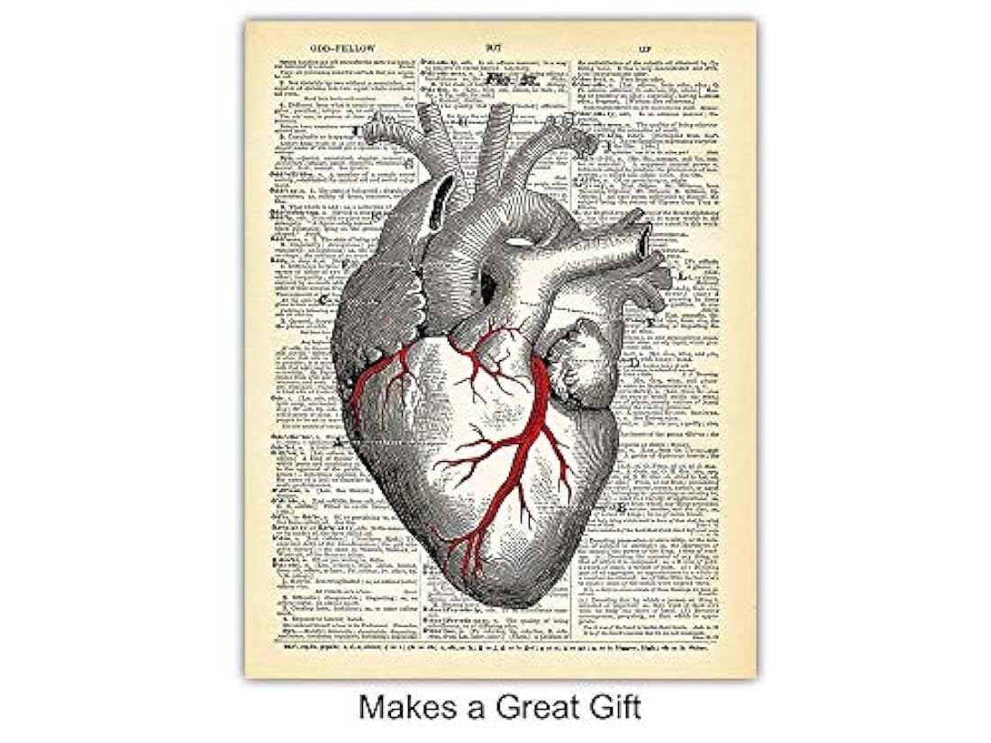 Diccionario gótico de órganos de anatomía vintage - 8x10