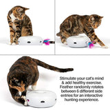Juguete interactivo para gato