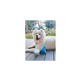 Probióticos para perros y gatos suplemento fibra y enzimas