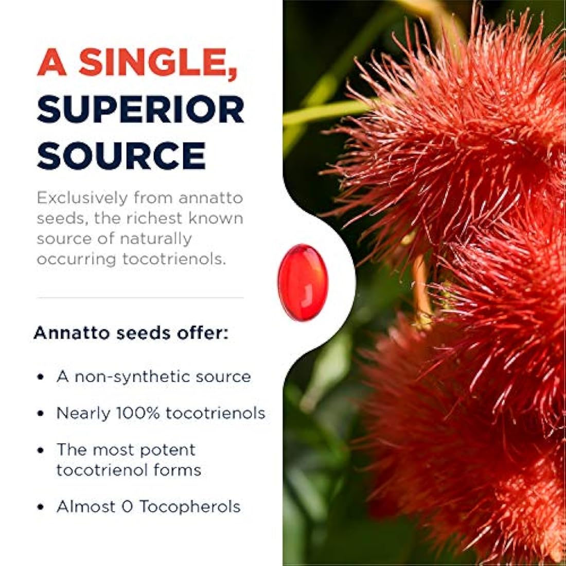 Designs for Health Annatto-E 150 – Suplemento de vitamina E con Delta + Tocotrienoles Gamma – Cardiovascular + soporte antioxidante – sin OMG, sin soja (60 cápsulas blandas)