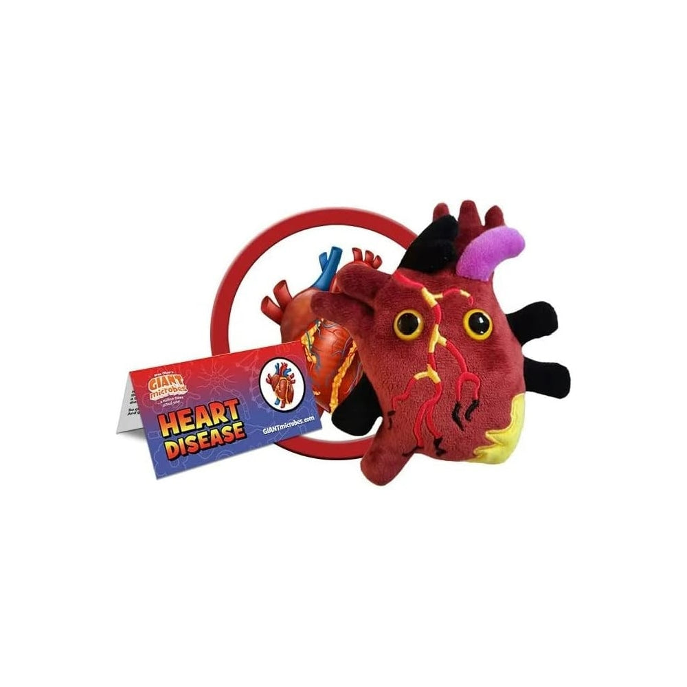 Peluches cardiovasculares Color Rojo