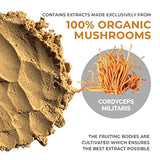 Extracto de hongos en polvo de Cordyceps por Real Mushrooms