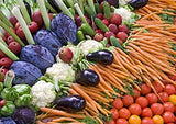 Semillas de Verduras de Invierno Orgánicas - 12 Variedades