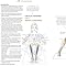 Libro - The Yoga Anatomy Coloring