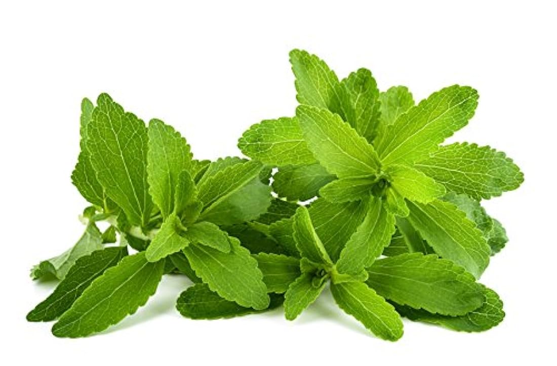 Stevia Leaf - Stevia rebaudiana Loose Leaf C / S 100%
