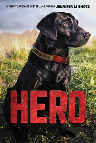Héroe: Libro
