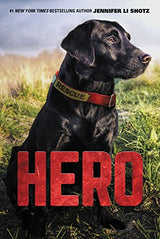 Héroe: Libro