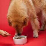 The Missing Link - Suplementos con omegas balanceados y semillas de lino frescas y saludables para el corazón en fórmulas únicas: Cadera y articulaciones, piel y abrigo, anciano, cachorro y salud general - todo natural y sin OMG, Perro, Senior