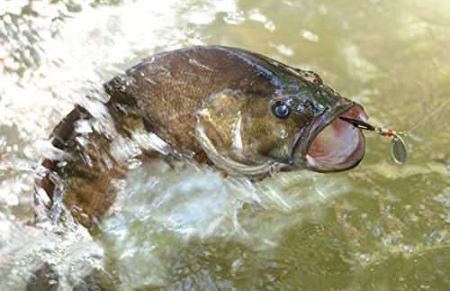Señuelo de pesca con bolsa de transporte portátil