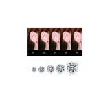 Aretes de tuerca de acero inoxidable Juego de 5 pares
