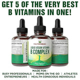 B Complex Liquid Drops suplemento vegano. Mejores vitaminas 5 B con B3 niacina, B6, B7 biotina, B9 folato, metilcobalamina B12. B-Complex para cabello, uñas de la piel, energía, alivio del estrés. Para adultos, hombres, mujeres.