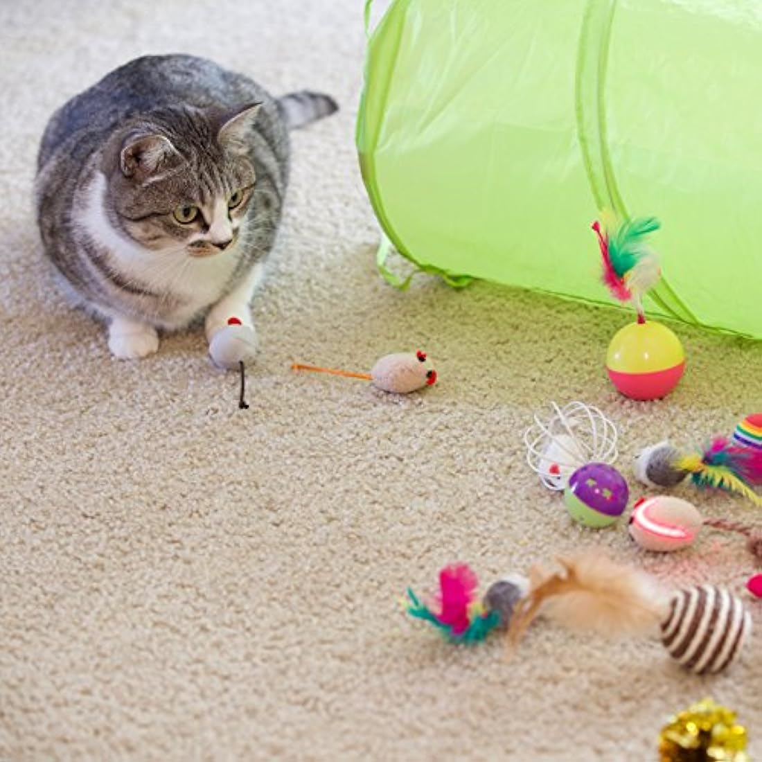 24 juguetes para gatos juguetes surtidos