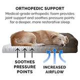 Cama para perro Furhaven - Tumbona ergonómica  terapéutico
