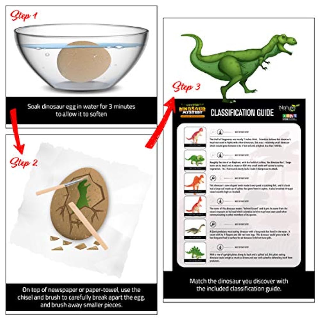 Nature Gear Dino - Juego de 12 huevos para buceo