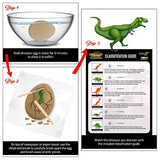Nature Gear Dino - Juego de 12 huevos para buceo