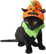Gato Orgrimmar Sombrero Halloween Collar Cat Cosplay